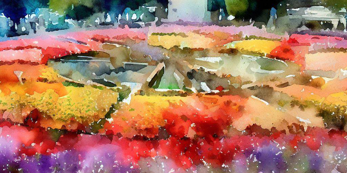 Image d'illustration