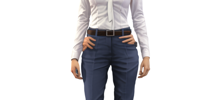 Image d'illustration